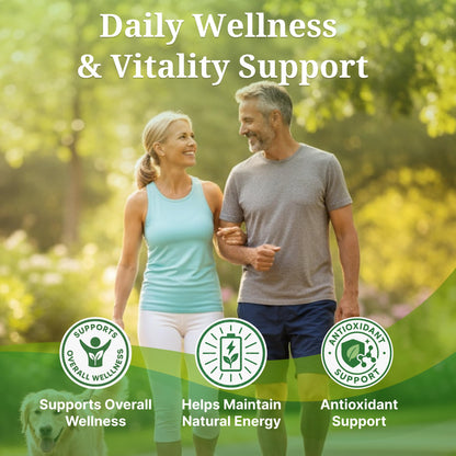 ResilienZ-12 Antioxidants Supplement – 12-in-1 Phytonutrient Complex with Meriva Curcumin Phytosome, Vitamin C, Sulforaphane, Astaxanthin, EGCG Green Tea, CoQ10 & Quercetin – 90 Vegan Capsules