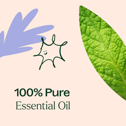 Respir Aid Essential Oil Blend 30 mL – Plant Therapy