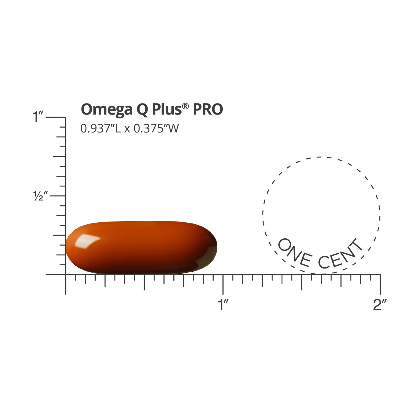 Dr. Sinatra Omega Q Plus PRO – CoQ10 200 mg & Resveratrol 90 mg (90 Softgels)