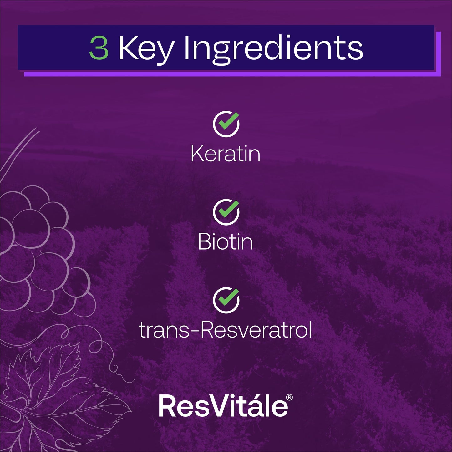 ResVitale Keratin Hair Enhance - Keratin + Biotin Hair Growth Supplement | 60 Capsules