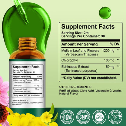 ReviNutra Mullein Drops for Lungs – 1200mg Mullein Leaf Liquid (2 fl oz)