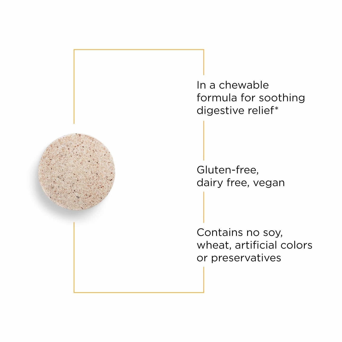 Rhizinate Digestive Support Chewables by Integrative Therapeutics | Vegan, Gluten-Free & Dairy-Free (100 Tabs, 33 Servings)