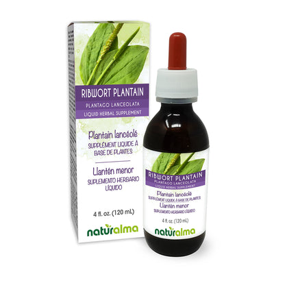 Naturalma Ribwort Plantain Tincture 1:5 - Alcohol-Free, Vegan, 4 fl oz Drops