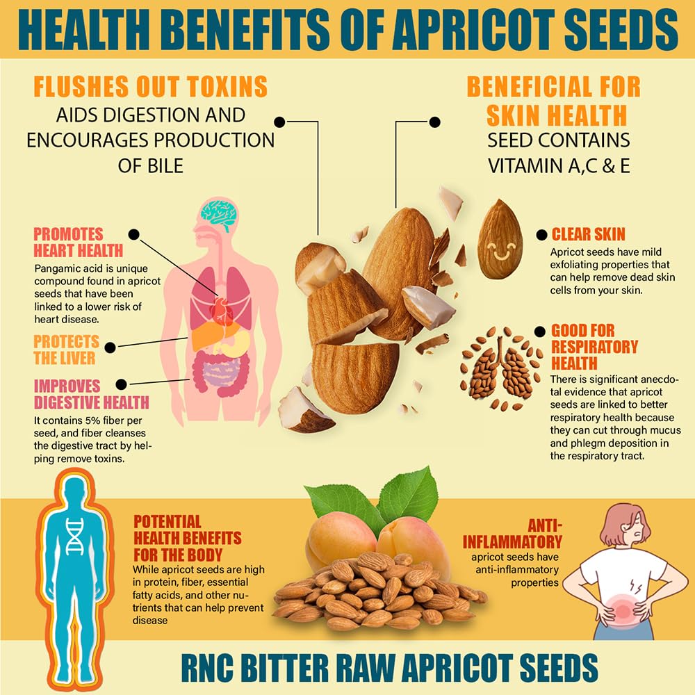 Richardson Nutritional Center Fresh Raw Bitter Apricot Seeds (2 lb) — California Grown, Lab Tested, Vegan, Gluten & GMO Free