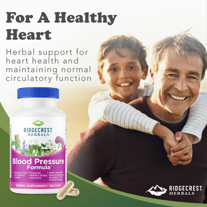 RidgeCrest Herbals Blood Pressure Formula | 12 Herbs, 120 Count