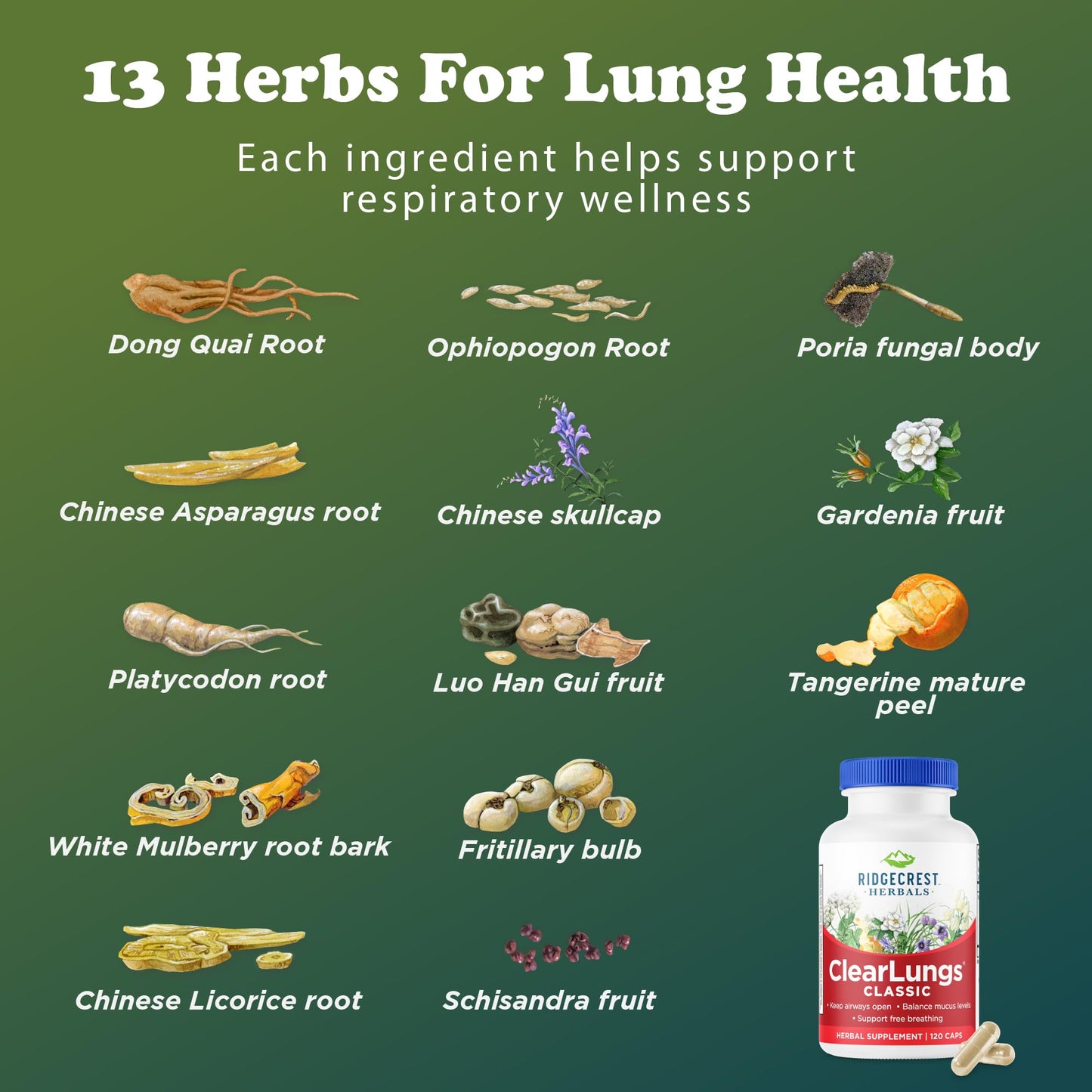 Clear Lungs Classic Red Label by RidgeCrest Herbals | 120 Capsules