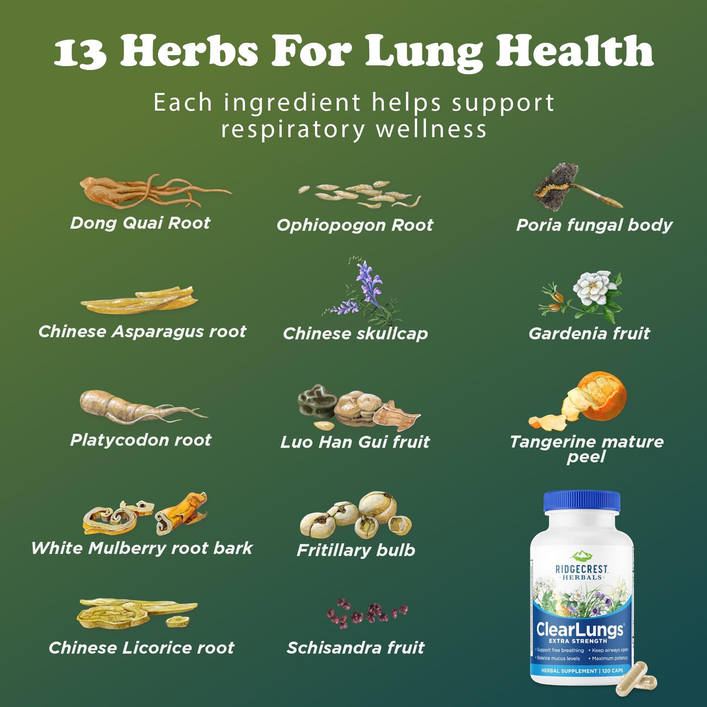 RidgeCrest Herbals ClearLungs Extra Strength - Daily Respiratory Support (120 Vegan Caps)