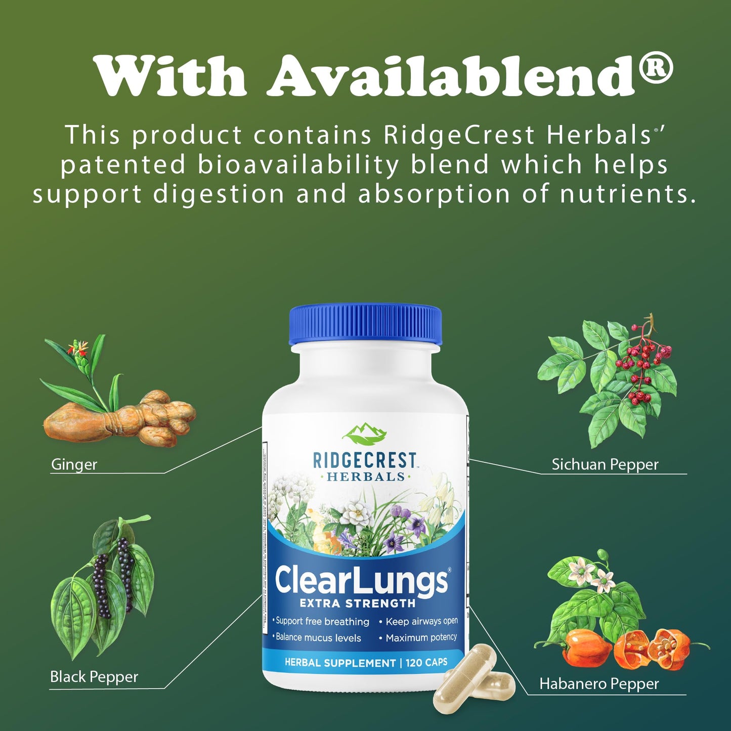RidgeCrest Herbals ClearLungs Extra Strength - Daily Respiratory Support (120 Vegan Caps)