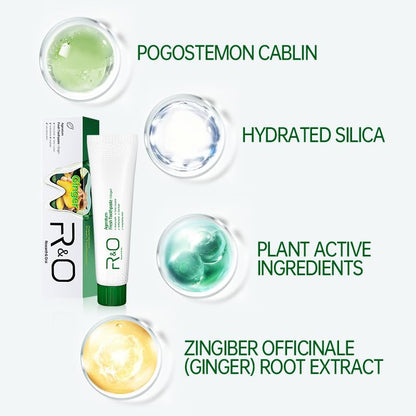 R&O Ginger Mint Fresh Toothpaste - 3.53 oz | Plaque Removal, Fresh Breath & Oral Comfort
