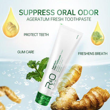 R&O Ginger Mint Fresh Toothpaste - 3.53 oz | Plaque Removal, Fresh Breath & Oral Comfort