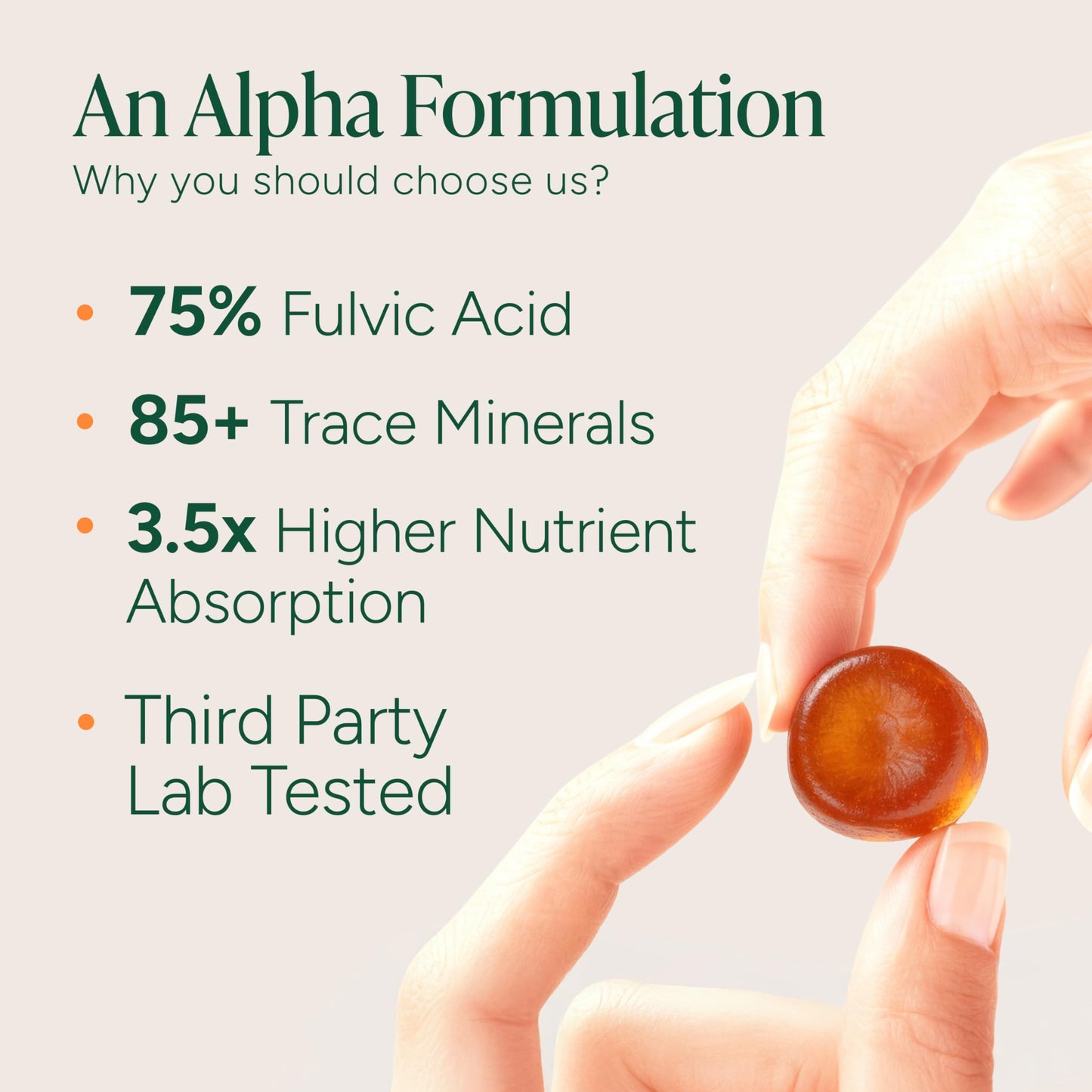 ROOT LABS 10-in-1 Alpha Shilajit Gummies – 4000 mg, Sugar-Free Vegan, 120 Pack