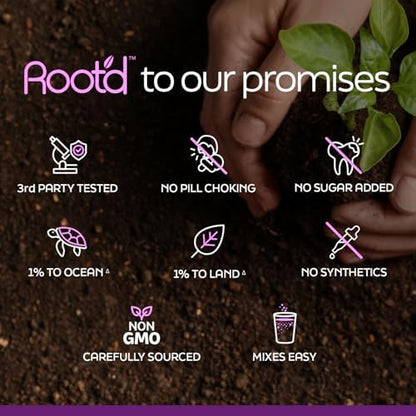 Root'd Prenatal Multivitamin Powder — 25 Vitamins & 3x Electrolytes, Folate, Iron, D3, 7 Superfoods & Probiotics | Sugar-Free | 24 Packets