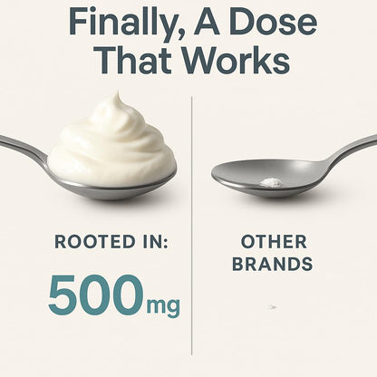 Rooted In Magnesium Cream with Ashwagandha – Aromatherapy Calming Lotion for Stress Relief, Sleep & Muscle Comfort