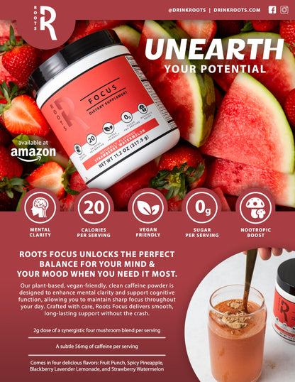 Roots Focus Nootropic Brain Supplement by Silver Star Nutrition – Fruit Punch, 50 Servings