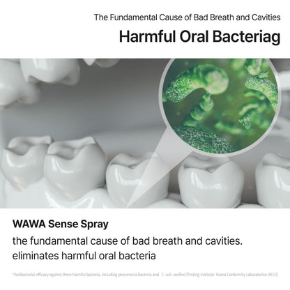 ROROBELL Wawa Sense Spray — Oral Care Mouth Freshener (3 x 1/3 oz)