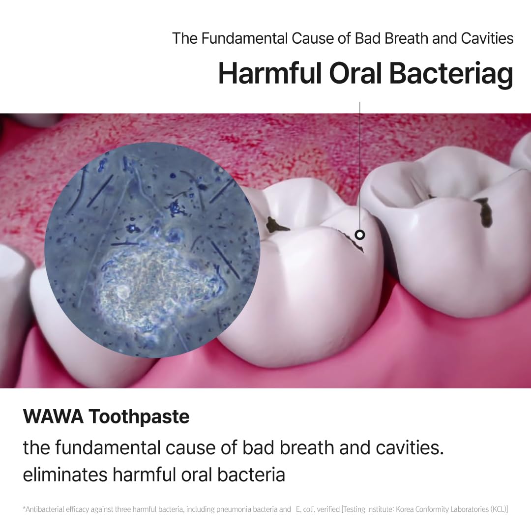 ROROBELL Wawa Toothpaste with Wasabi & Peppermint – Sensitive Teeth & Gum Health | 3.53 fl oz (Pack of 1)