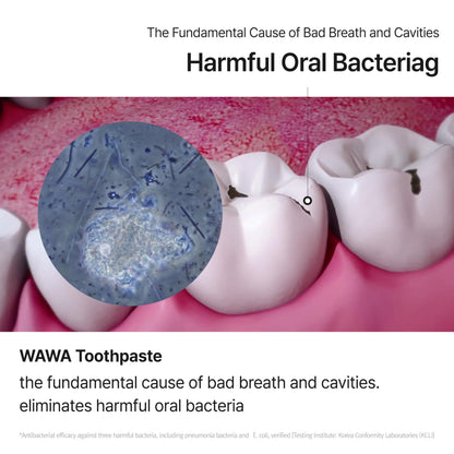 ROROBELL Wawa Toothpaste Made for My Boyfriend's Bad Breath, Sensitive Teeth, Improvement of Gum Problems/Peppermint Flavor/Made with Wasabi I 3.53 fl.oz (Pack of 3)