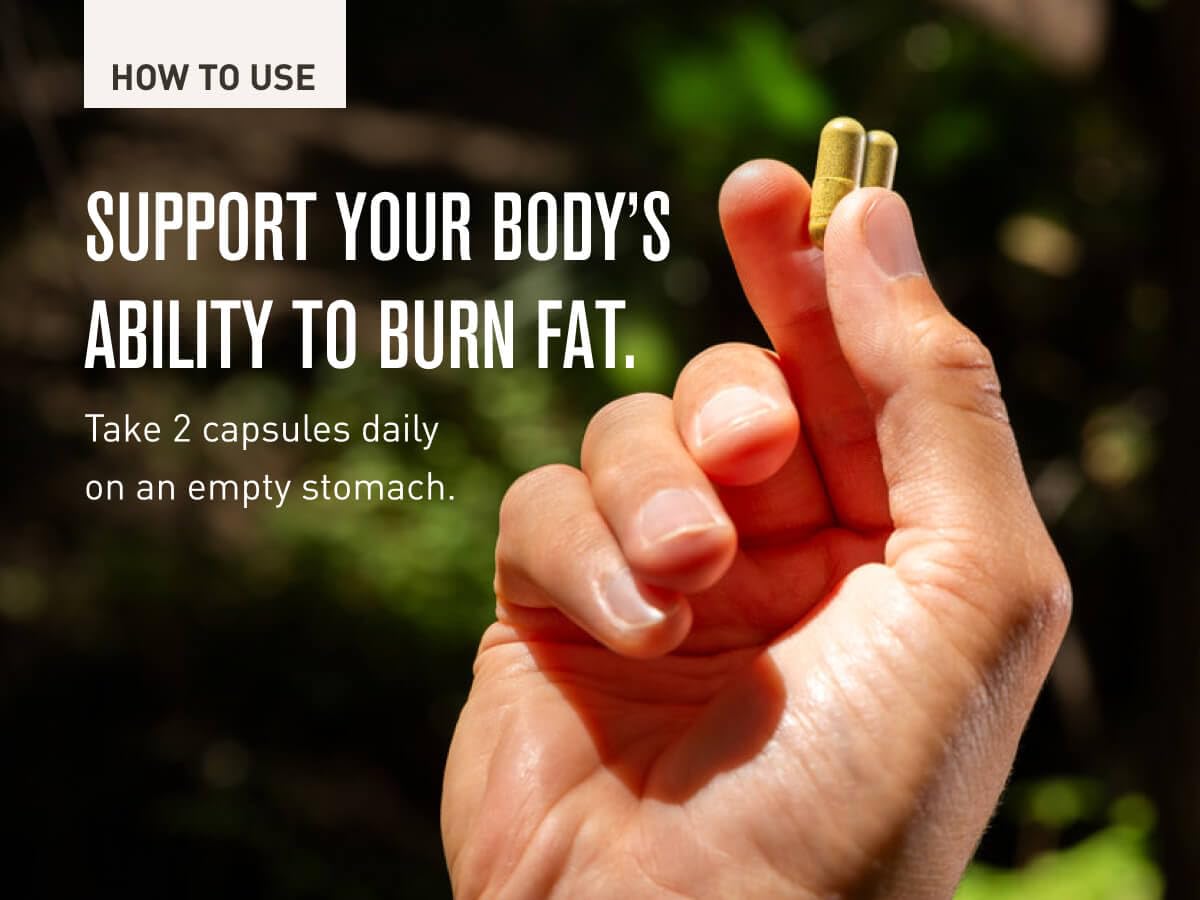 ROUNDHOUSE PROVISION Three Hit Combo – Fat Burner, Energy & Wellness (60 Capsules)
