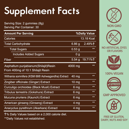 Rrubem Shilajit Gummies – 4000mg Pure Himalayan Shilajit, Blackberry, 60 Count