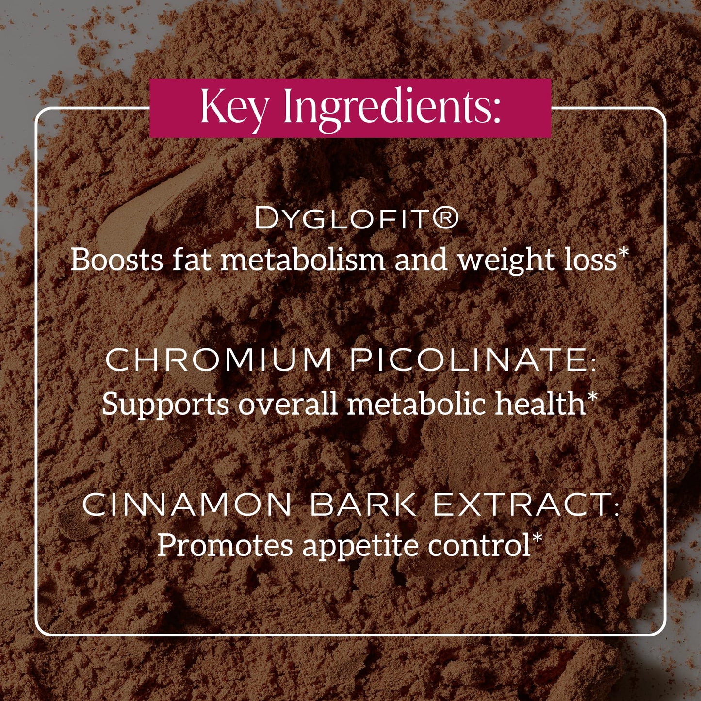 SAKARA Metabolism Super Powder – Appetite Control, Weight Management, Chocolate Flavor | Vegan & Non-GMO | 24 Servings