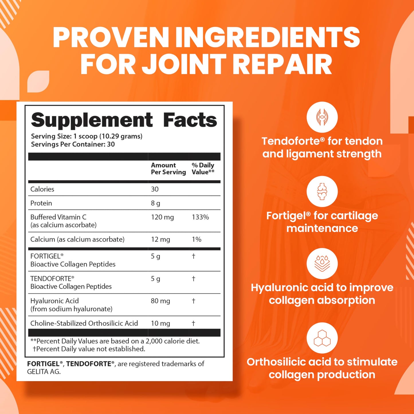 SaltWrap Collagen Synthesis - Joint Support with Fortigel & Tendoforte, NSF Certified for Sport