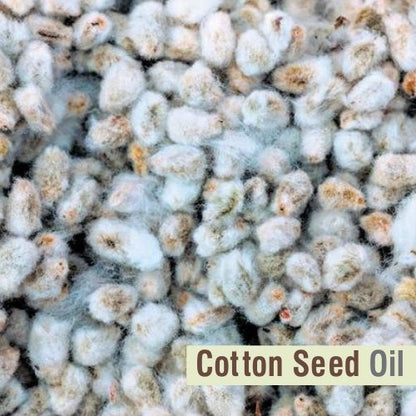 Salvia Cotton Seed Oil – 100% Pure & Natural Carrier Oil for Aromatherapy (100 ml)