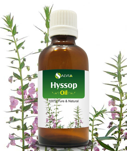 Salvia Hyssop Oil (Hyssopus Officinalis) - 15ml | Pure Essential Oil
