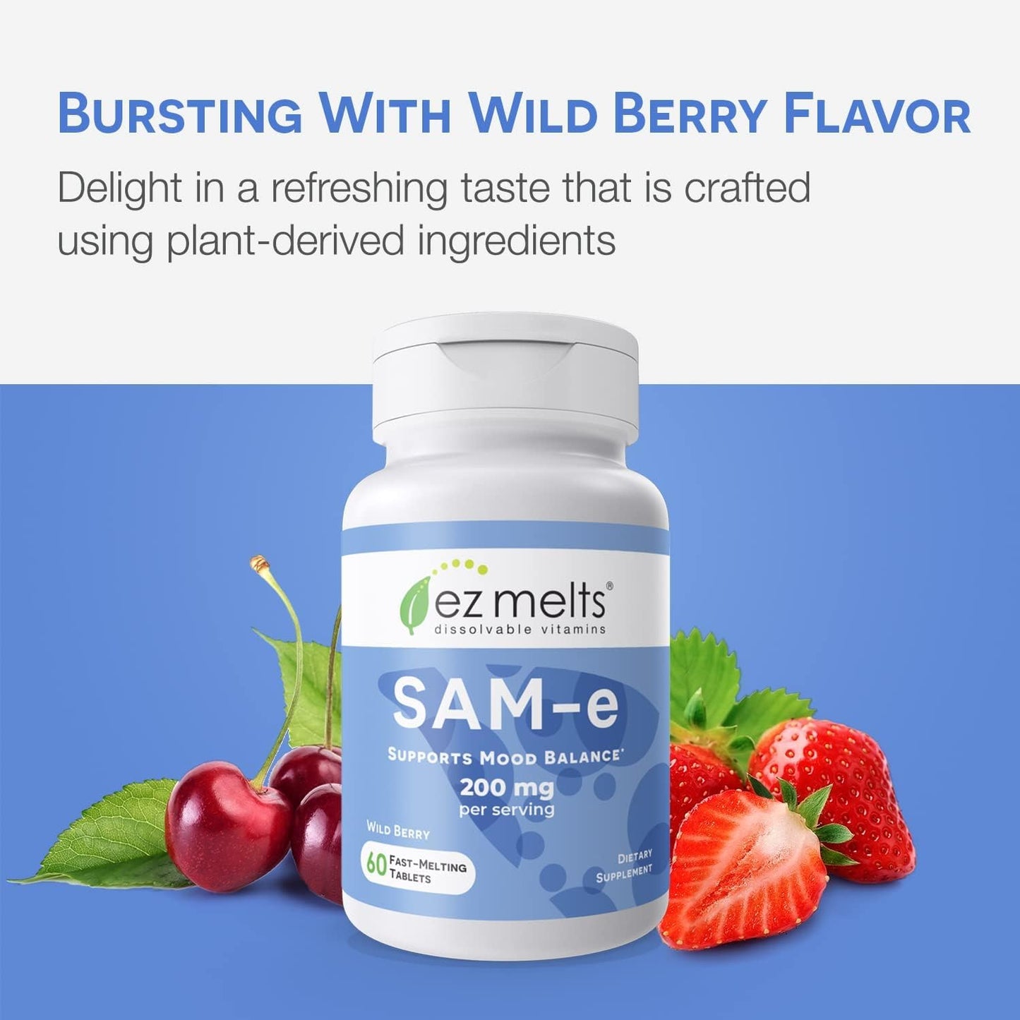 EZ Melts Dissolvable SAM-e 200 mg – Sugar-Free 2-Pack (1-Month Supply)