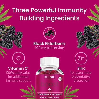 WellPath Boost Elderberry Gummies with Zinc & Vitamin C | Immune Support for Adults | 60 Ct