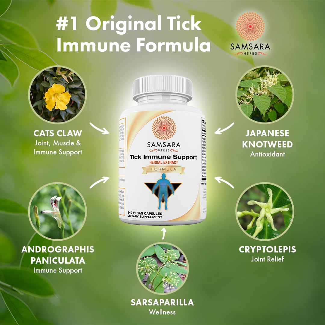 Samsara Herbs Tick Immune Support - 240 Capsules (Japanese Knotweed & Cat's Claw)