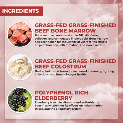 Santa Cruz Paleo Food of the Gods: Grass-Fed Beef Organ Supplement with Collagen, Maca Root, Colostrum – 30 Servings