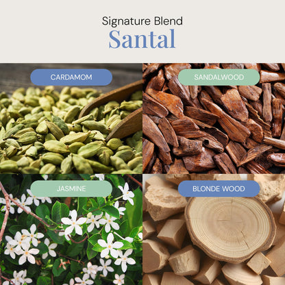 Santal Aroma Oil - Essential Oil Blend for Diffusers & Scent Machines | Sandalwood & Cardamom, 100 mL