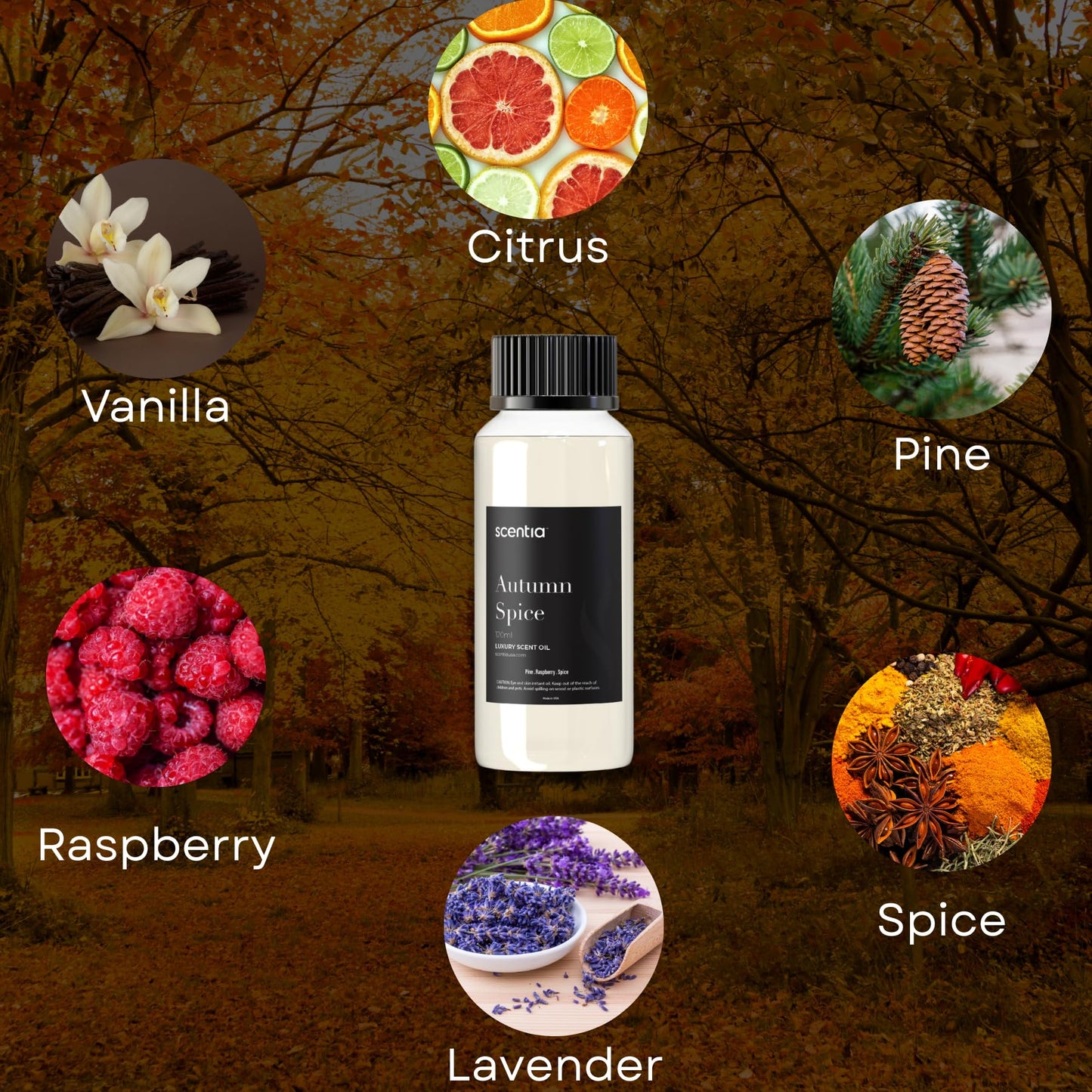 Scentia Autumn Spice Essential Oil Blend – 120ml Diffuser Oil for Fall, Halloween & Thanksgiving Décor | Aromatherapy, Candle & Soap Making