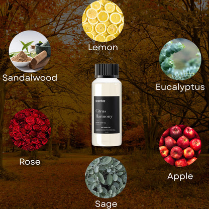Scentia Citrus Harmony – 120ml Premium Aromatherapy Diffuser Oil