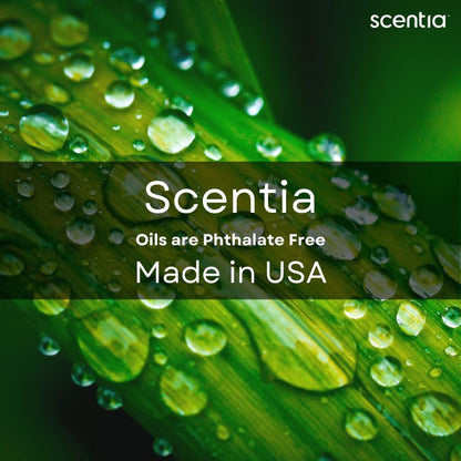 Scentia Citrus Harmony – 120ml Premium Aromatherapy Diffuser Oil