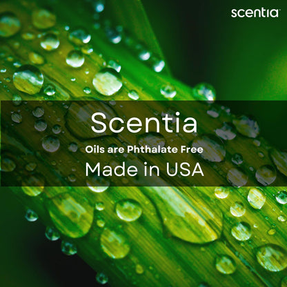 Scentia W Bliss Diffuser Refill Oil 500 mL – Bergamot, Lemongrass & Jasmine – Hotel-Inspired