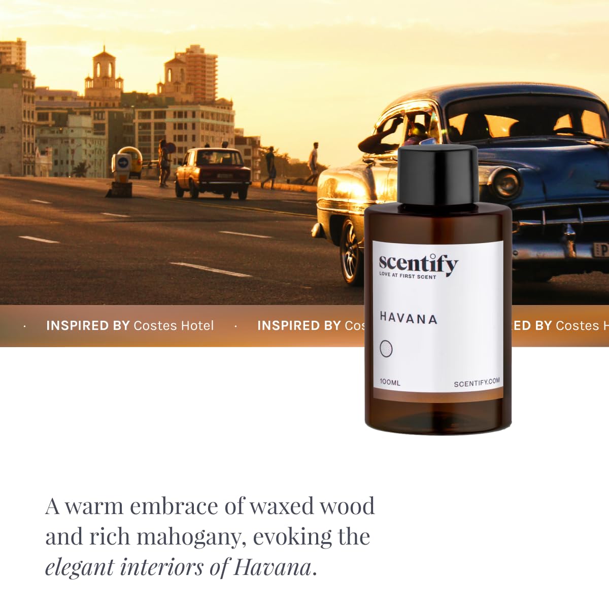 Scentify Havana Aroma Oil Refill for Diffusers - 100ml (Oak Moss, Rum, Paprika, Mahogany)