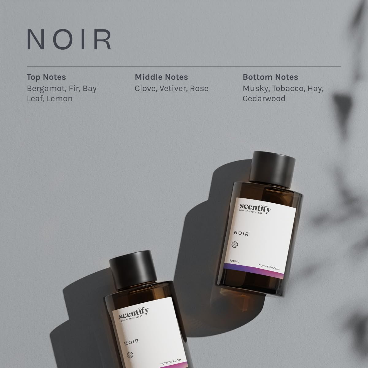 Scentify Noir Aroma Oil Refill for Diffusers – Bergamot, Bay Leaf, Vetiver, Cedar & Musk (100ml)