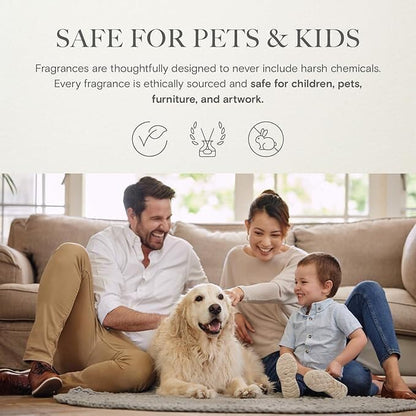 Scentiment Diffuser Oil - Midnight Jasmine | Home Aromatherapy Fragrance Oil (50ml)