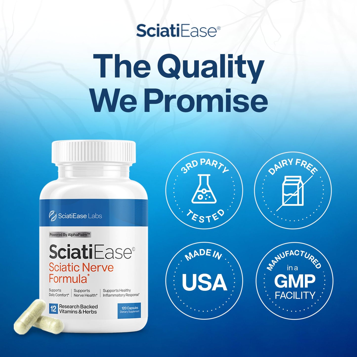 SciatiEase Sciatic Nerve Health Support Supplement | AlphaPalm, Pea, B-Complex, 300mg Alpha Lipoic Acid | 6 Bottles