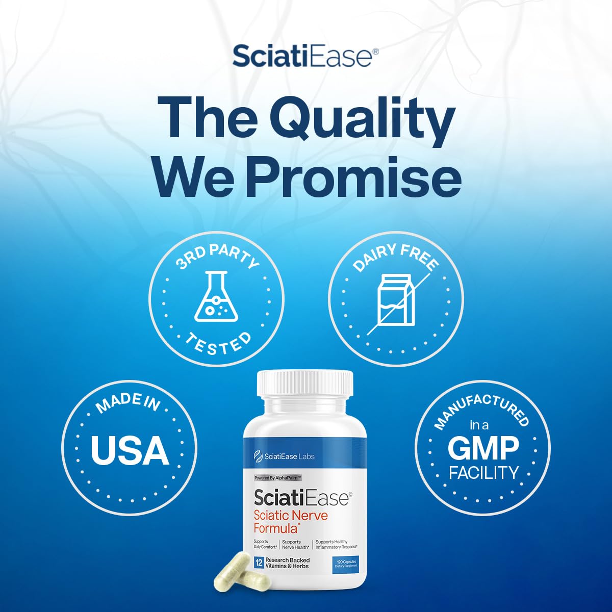 SciatiEase Sciatic Nerve Health Support Supplement - 3 Bottles | PEA, Alpha-Lipoic Acid 300mg, B Complex