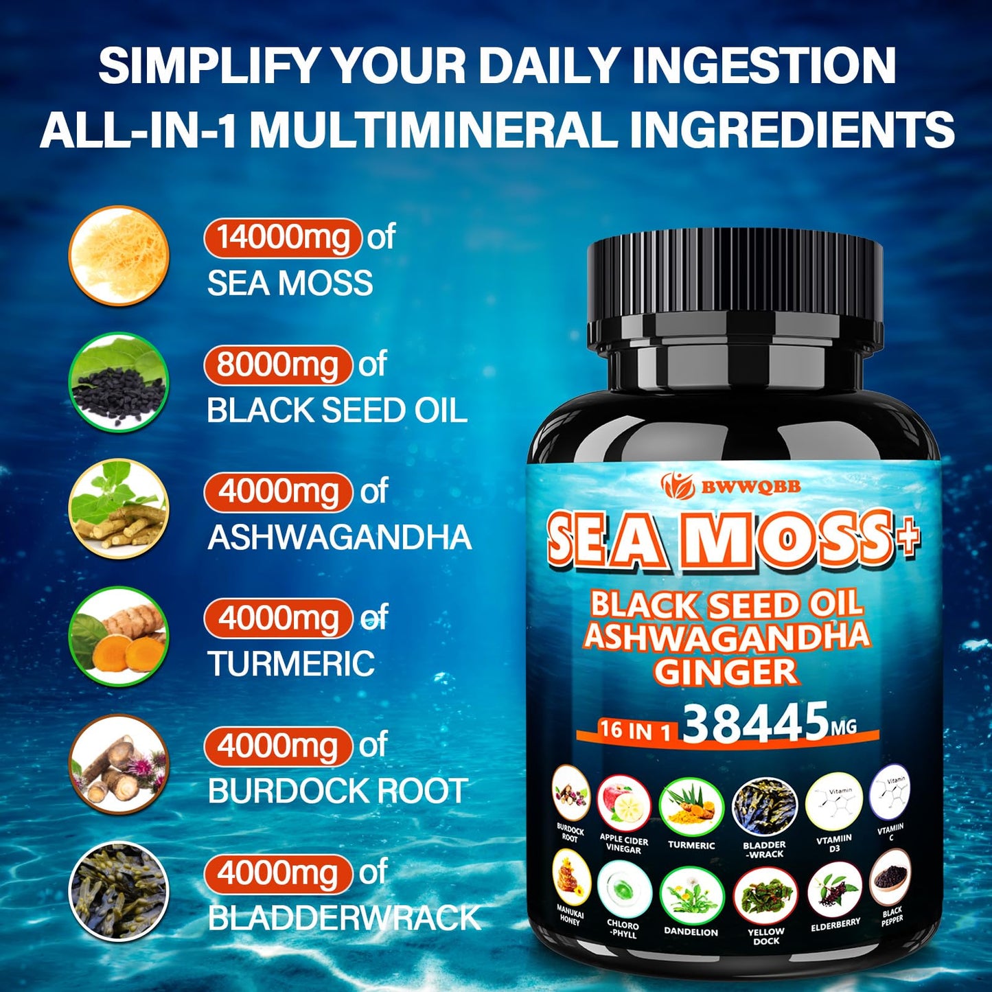 Sea Moss Capsules 60 Count – All-in-1 with Black Seed Oil, Ashwagandha, Turmeric, Bladderwrack & Burdock
