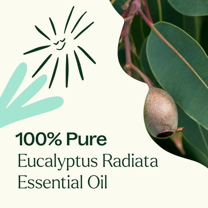 Plant Therapy Eucalyptus Radiata Essential Oil 30 mL (1 oz) - 100% Pure