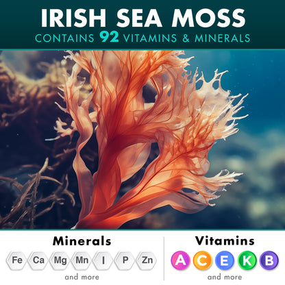 Secret Element Irish Sea Moss & Black Seed Oil Ashwagandha Ginger – All-in-One 20,000mg Capsules, 120 Count (Pack of 2)