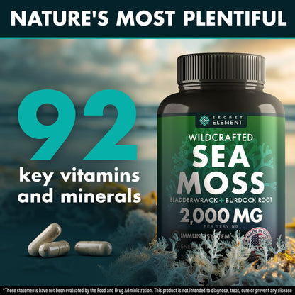 Secret Element Sea Moss Capsules – Irish Sea Moss Advanced with Burdock Root, Bladderwrack & Muira Puama – 120 Capsules (3 Pack)