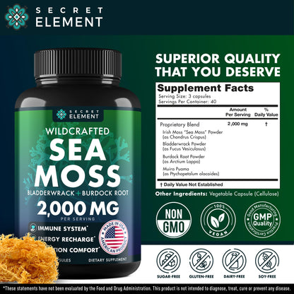 Secret Element Sea Moss Capsules – Irish Sea Moss with Burdock Root, Bladderwrack & Muira Puama for Immunity, Gut, and Energy (2 Pack)