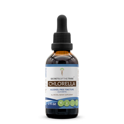 Secrets of the Tribe Chlorella Tincture – Alcohol-Free Liquid Extract (2 FL OZ)