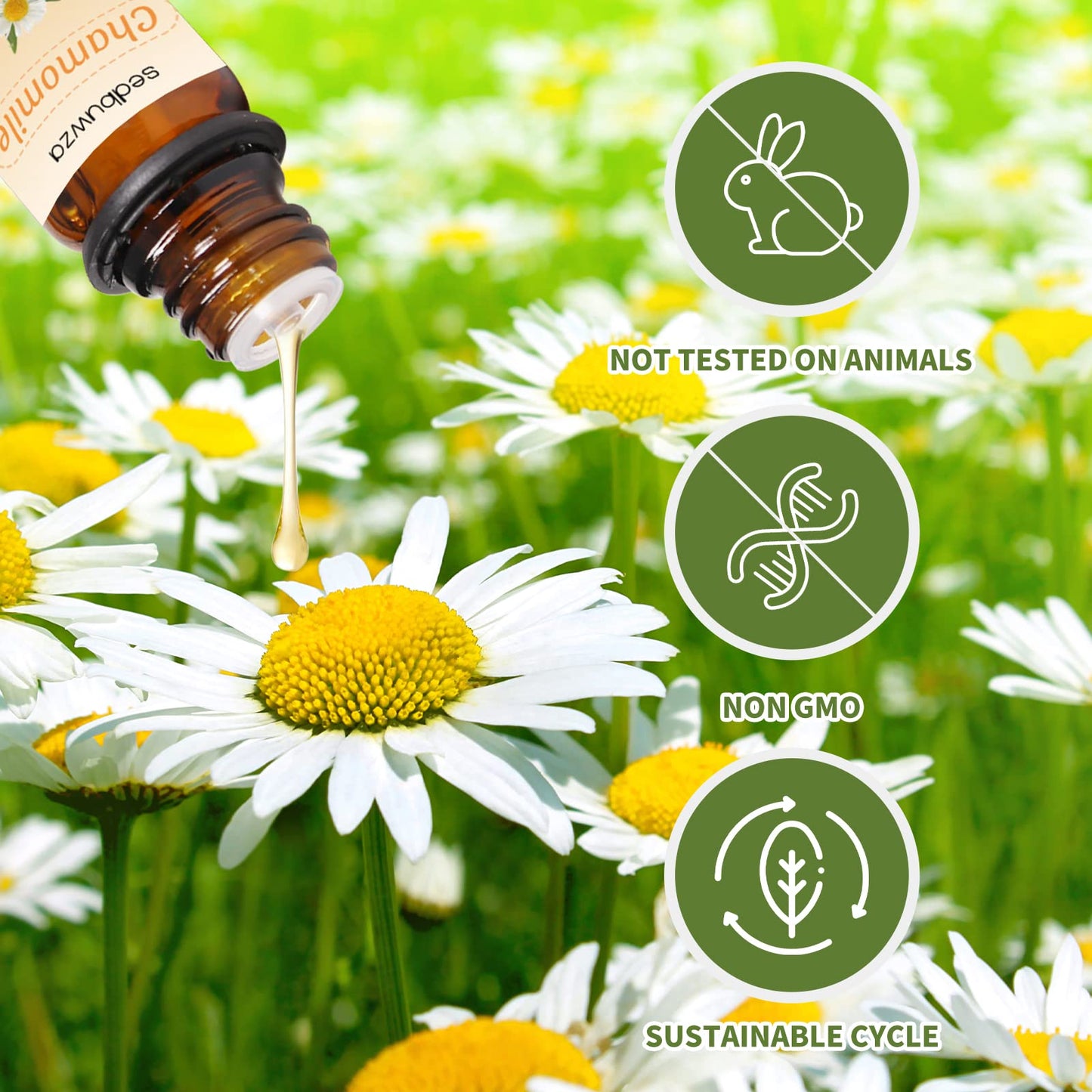 Sedbuwza Lavender Chamomile Essential Oil Set 2x10 ml | Diffuser & Aromatherapy