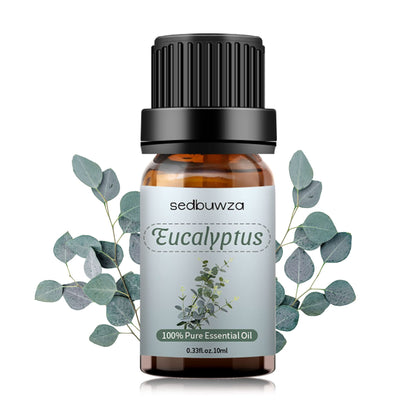 Sedbuwza Eucalyptus Essential Oil – Pure Organic Fragrance for Diffuser & Soap