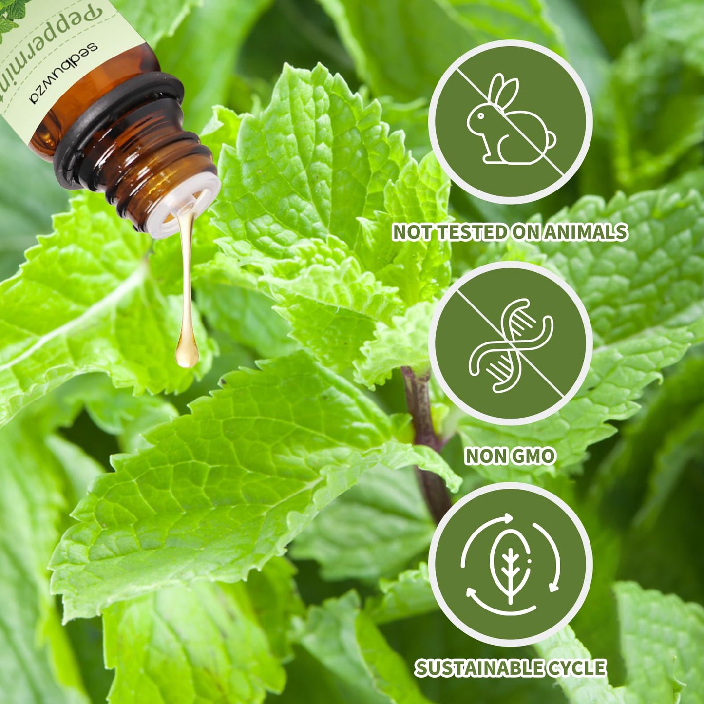 Sedbuwza Peppermint & Eucalyptus Essential Oil Set – 2 x 10 ml for Diffuser, Aromatherapy, Massage